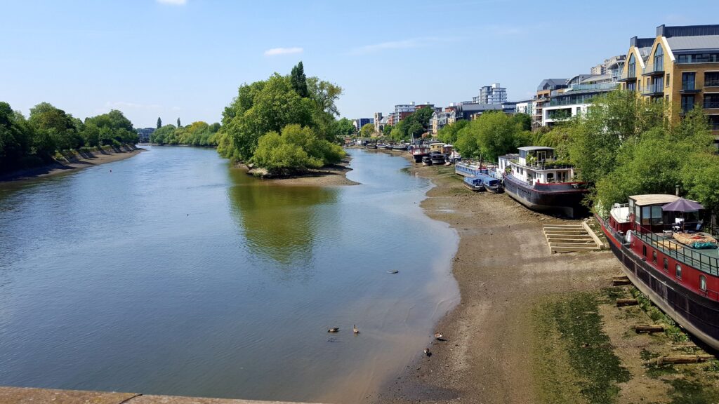 Widok z Kew Bridge na Tamizę