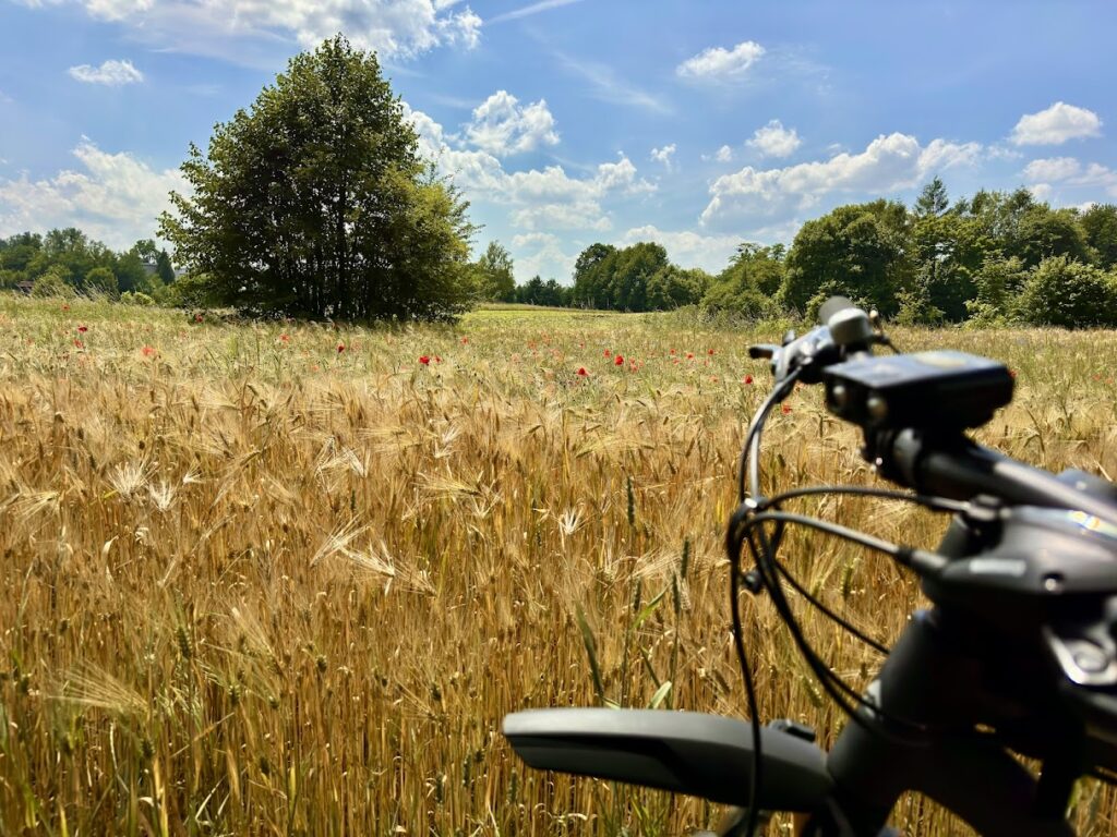 Kolorowy Śląsk na kole